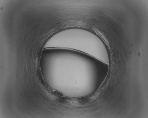 X0000087580113200704271055