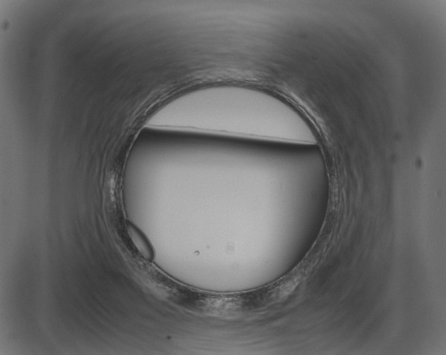 X0000087580117200704271055