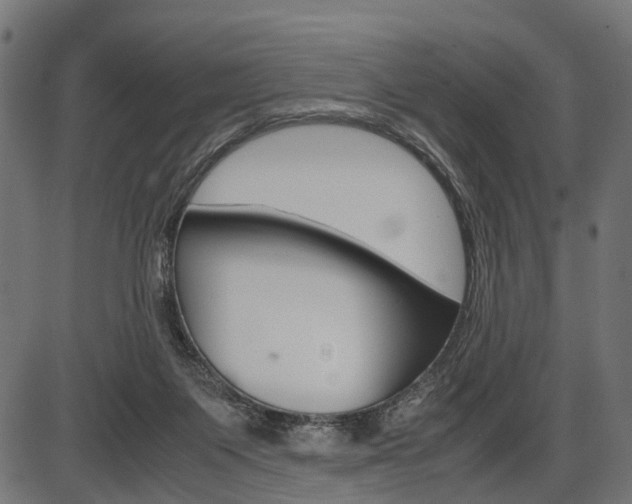 X0000087580119200704271055