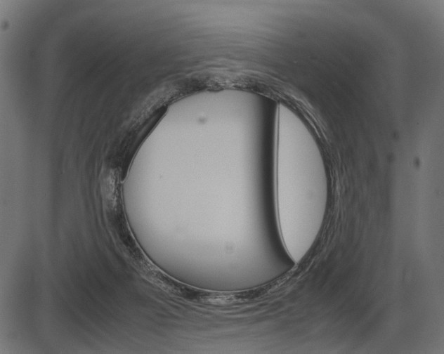 X0000087580121200704271055