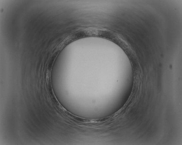 X0000087580125200704271055