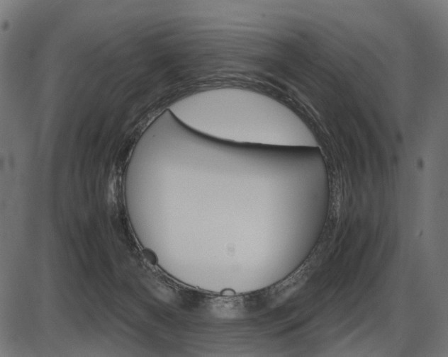 X0000087580126200704271055