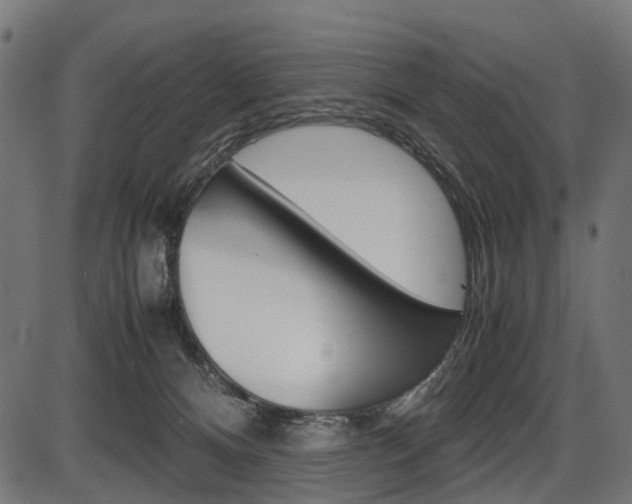 X0000087580128200704271055