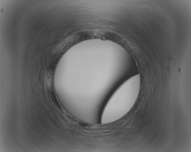X0000087580129200704271055