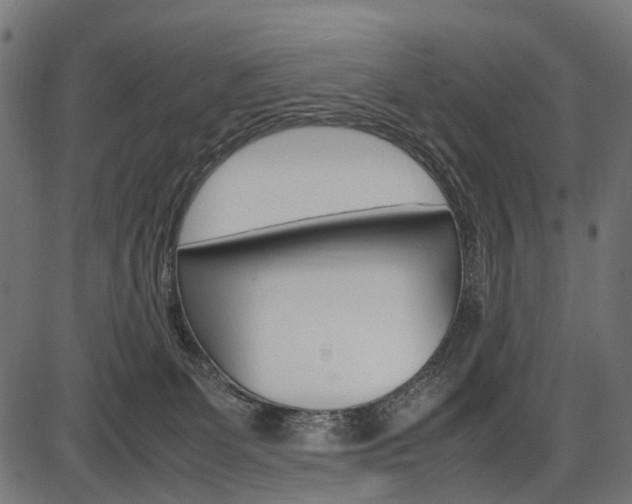 X0000087580131200704271055