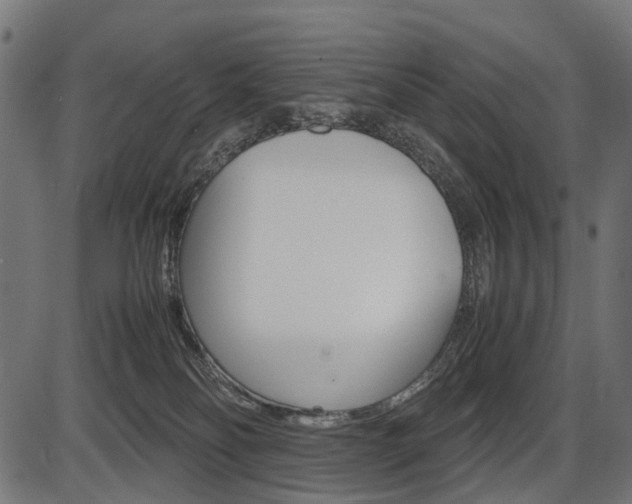 X0000087580134200704271054