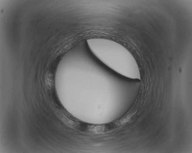 X0000087580135200704271054