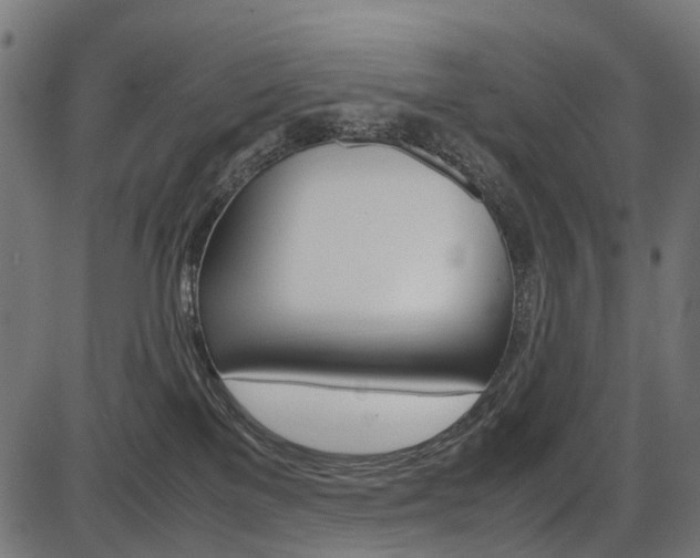 X0000087580137200704271054