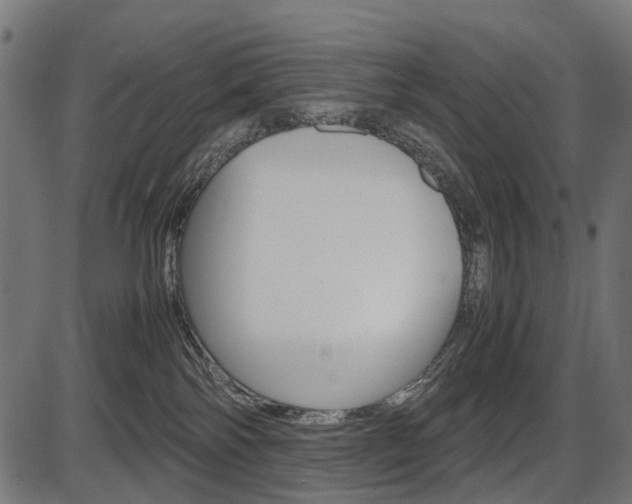 X0000087580138200704271054