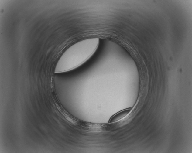 X0000087580144200704271054