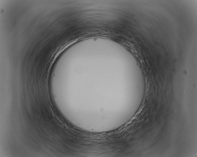 X0000087580146200704271054