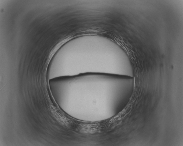 X0000087580147200704271054