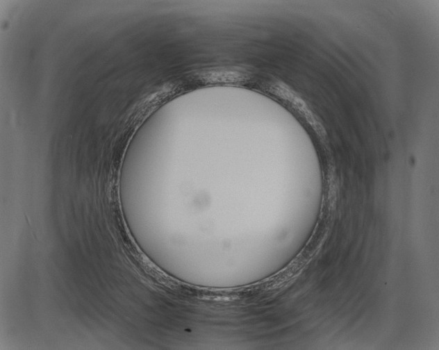 X0000087580161200704271054