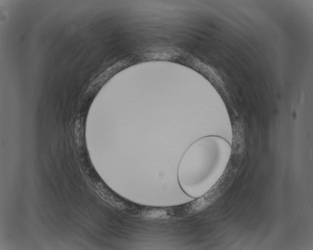 X0000087580162200704271054