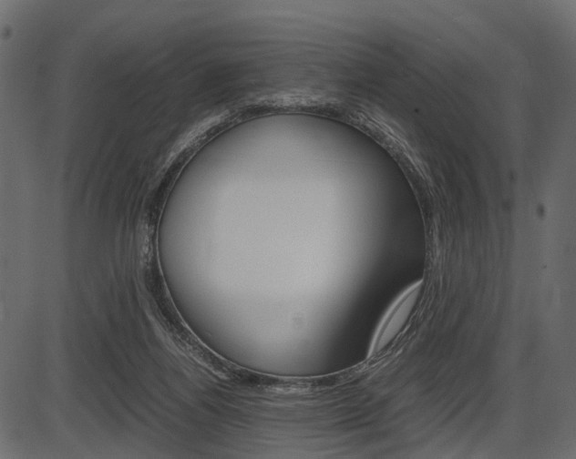 X0000087580164200704271054