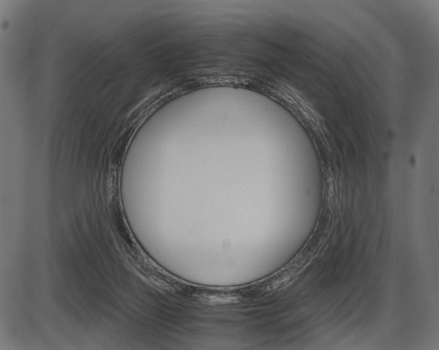 X0000087580165200704271054
