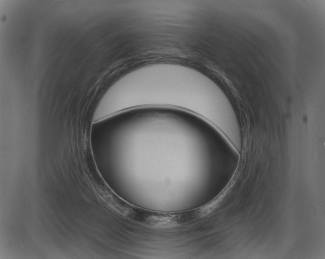 X0000087580170200704271054