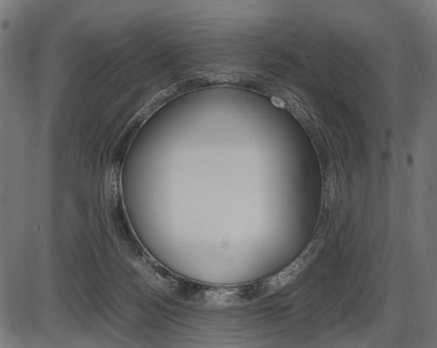 X0000087580172200704271054