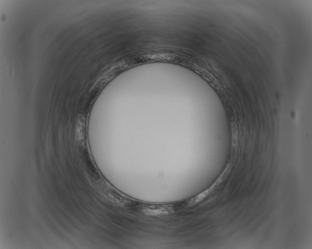 X0000087580175200704271054