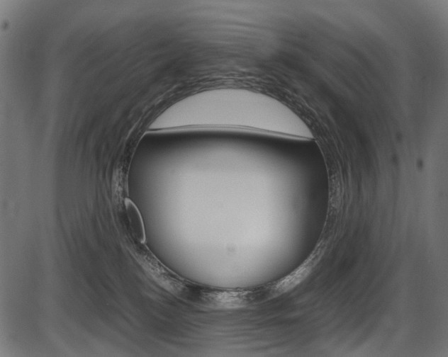X0000087580184200704271054