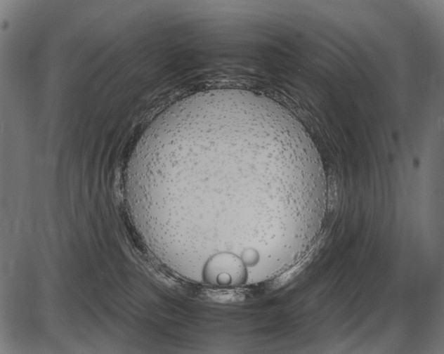 X0000087580187200704271054