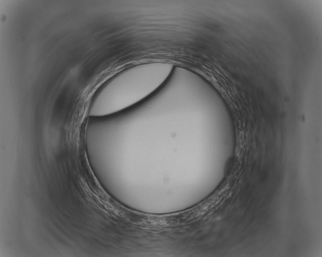 X0000087580194200704271053