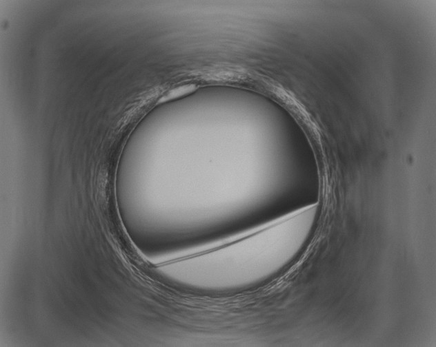 X0000087580201200704271053