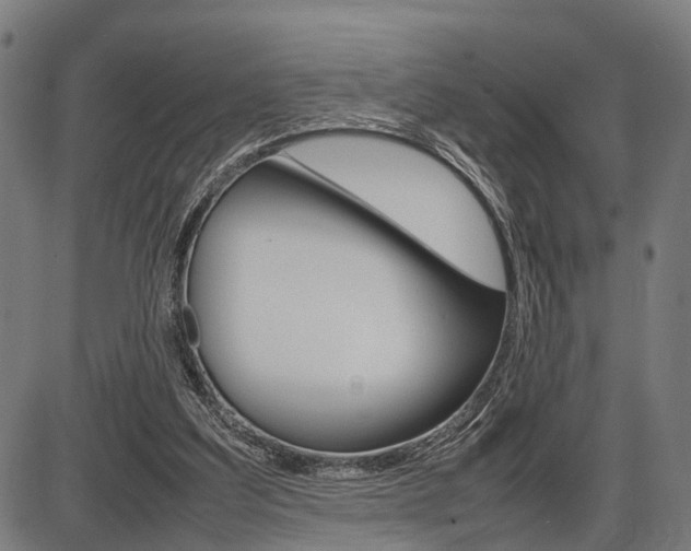 X0000087580203200704271053