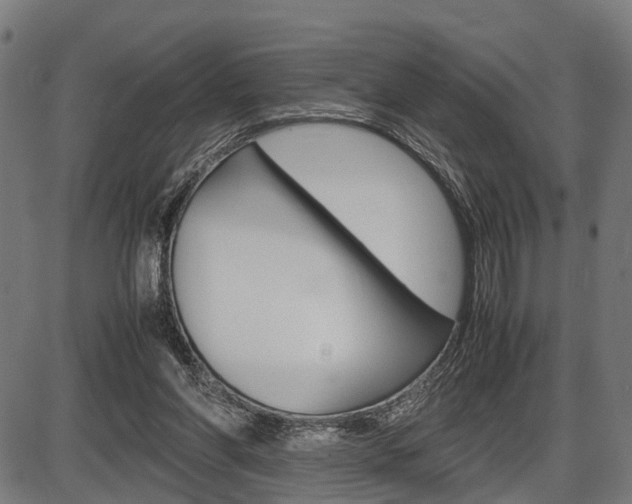 X0000087580206200704271053
