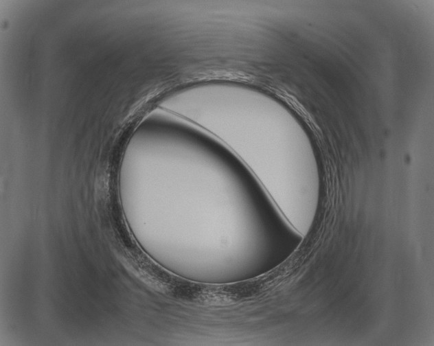 X0000087580207200704271053