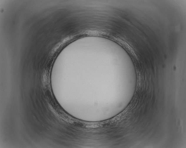 X0000087580208200704271053