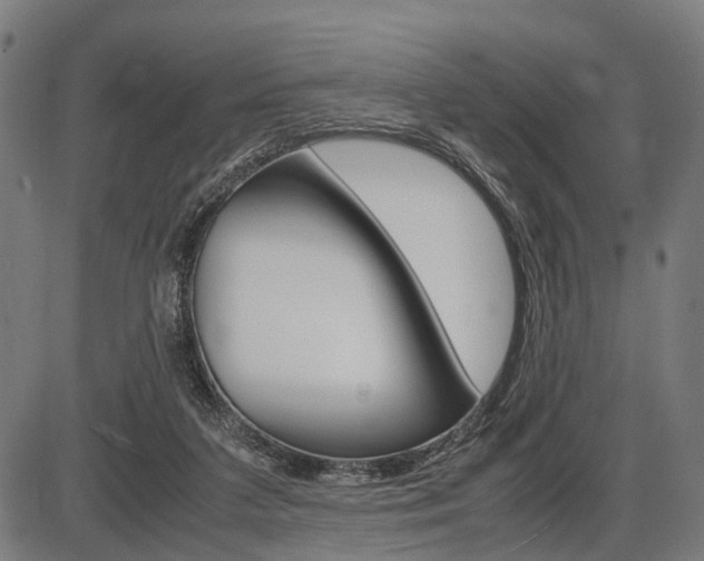 X0000087580211200704271053