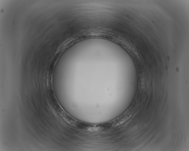 X0000087580216200704271053