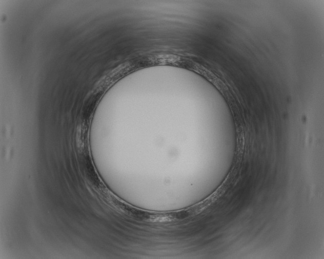 X0000087580218200704271053