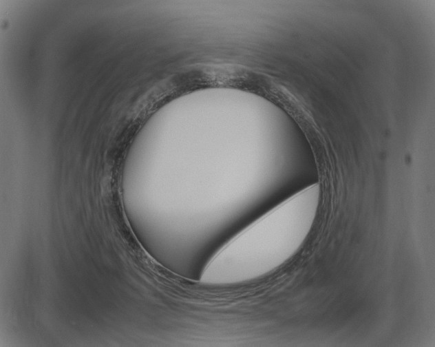 X0000087580221200704271053