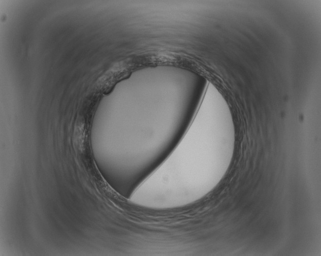 X0000087580223200704271053