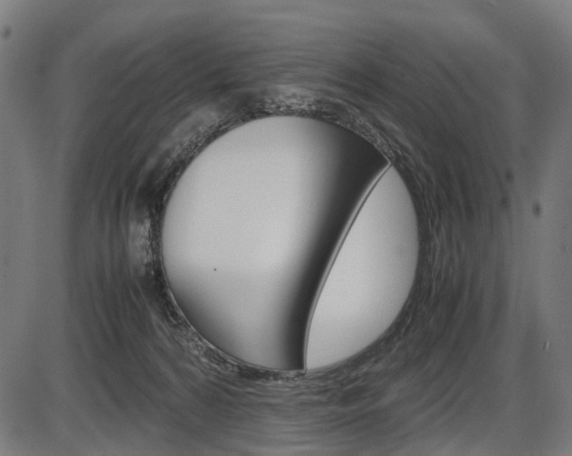 X0000087580224200704271053