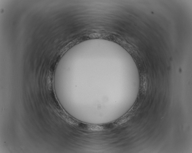 X0000087580226200704271053