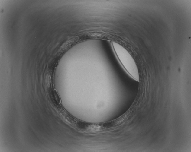 X0000087580227200704271053