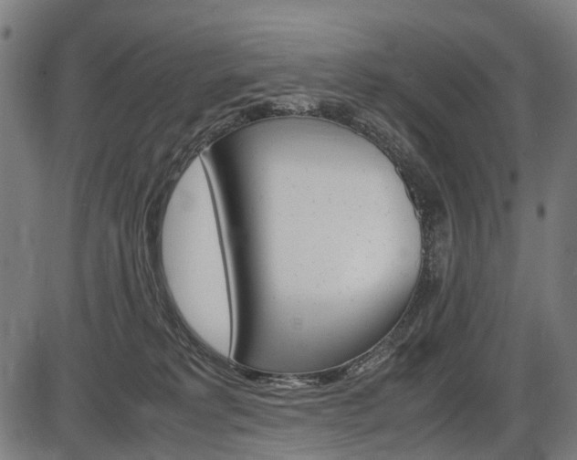 X0000087580229200704271053