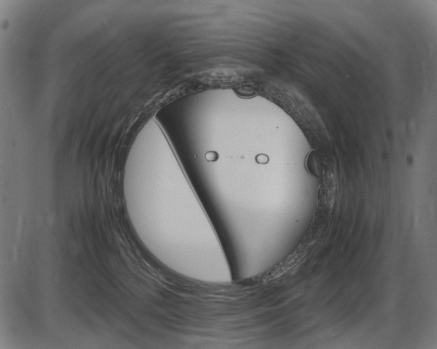 X0000087580232200704271053