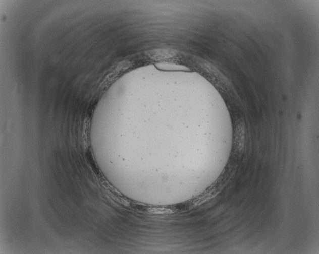 X0000087580234200704271053