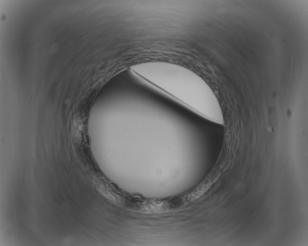 X0000087580235200704271053