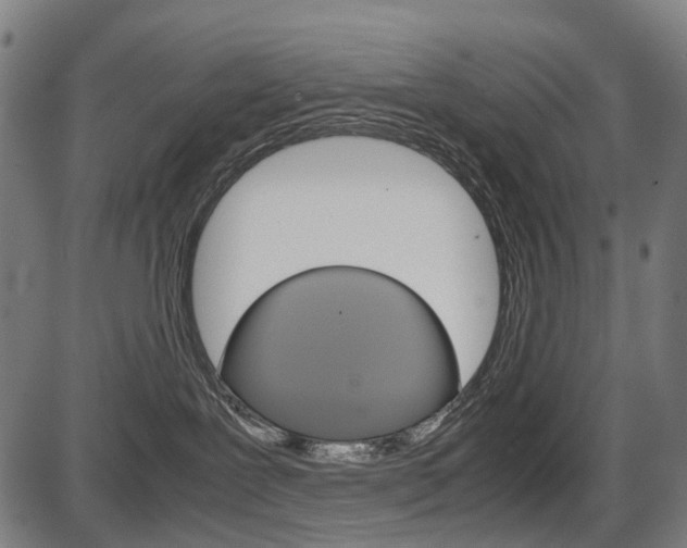 X0000087580239200704271053