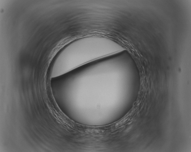 X0000087580242200704271052