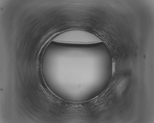 X0000087580243200704271052