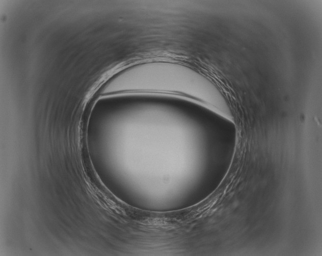 X0000087580244200704271052