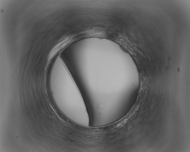 X0000087580245200704271052