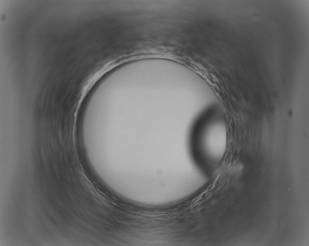 X0000087580248200704271052