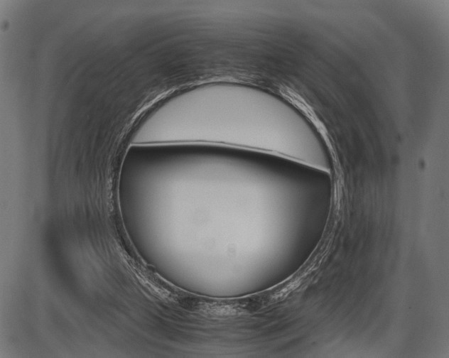 X0000087580249200704271052